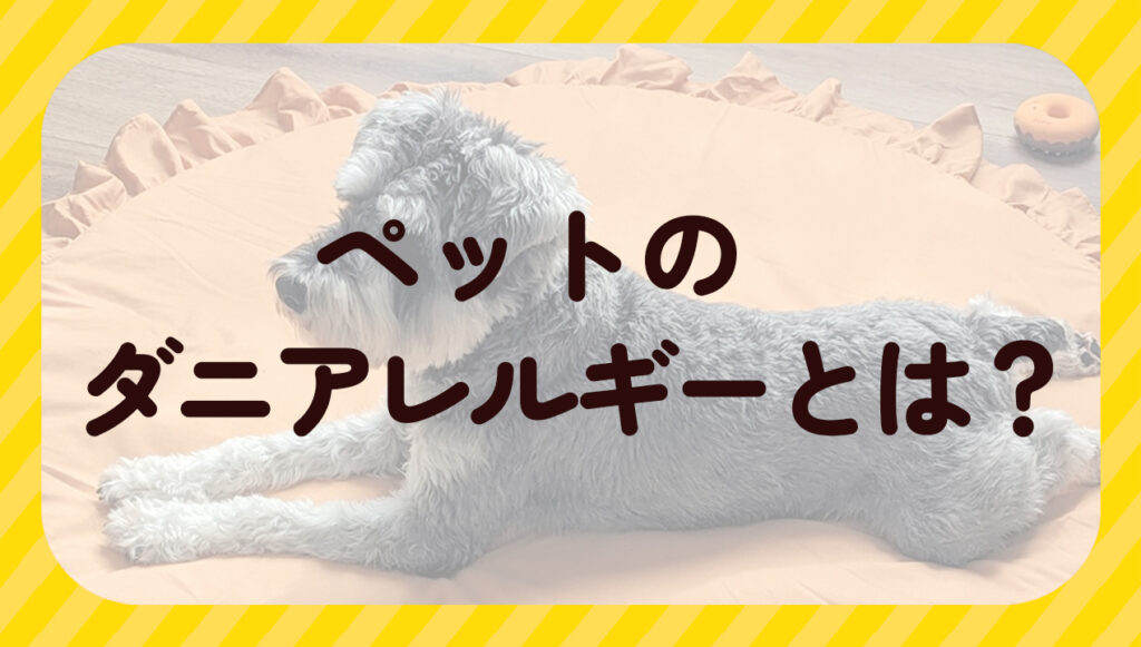 ペットのダニアレルギーとは？