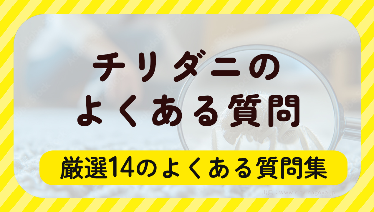 チリダニのよくある質問