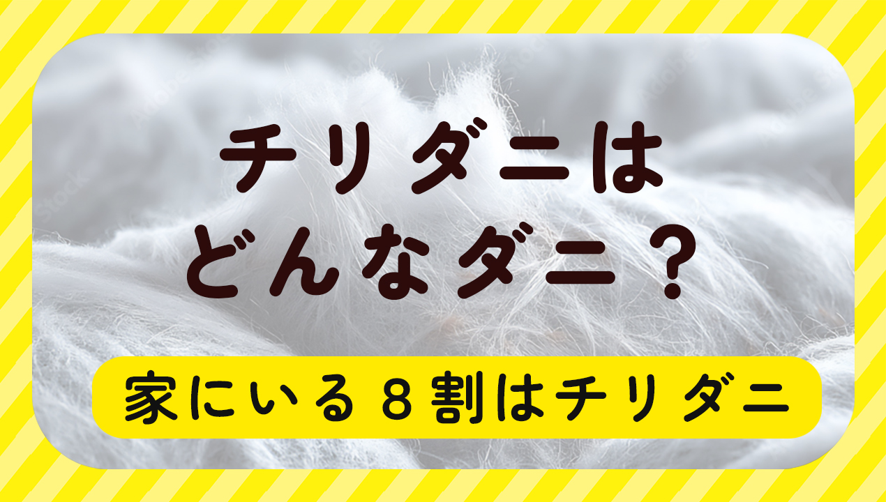 チリダニはどんなダニ？