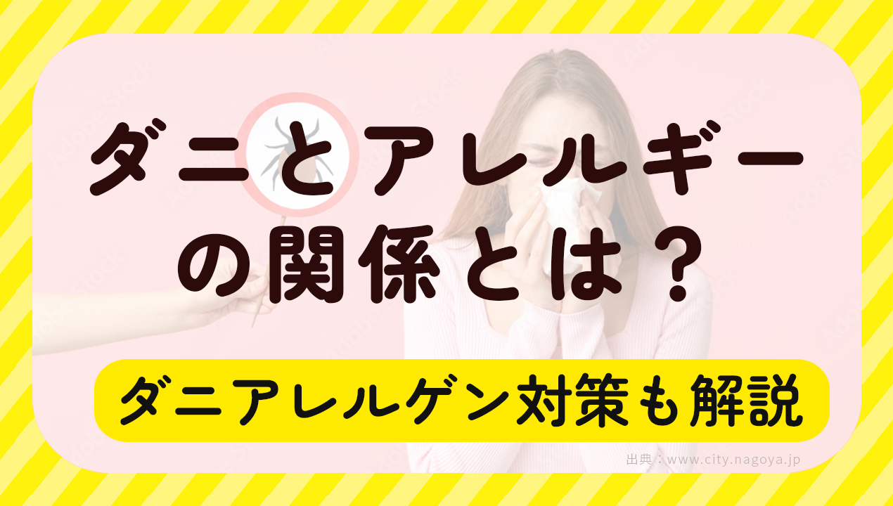 だとアレルギーの関係とは？