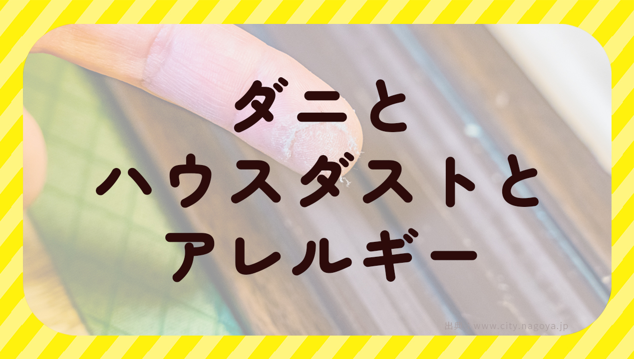 ダニとハウスダストとアレルギー
