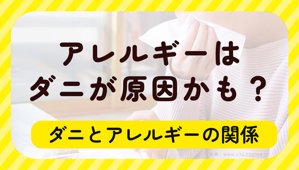 アレルギーはダニが原因かも？