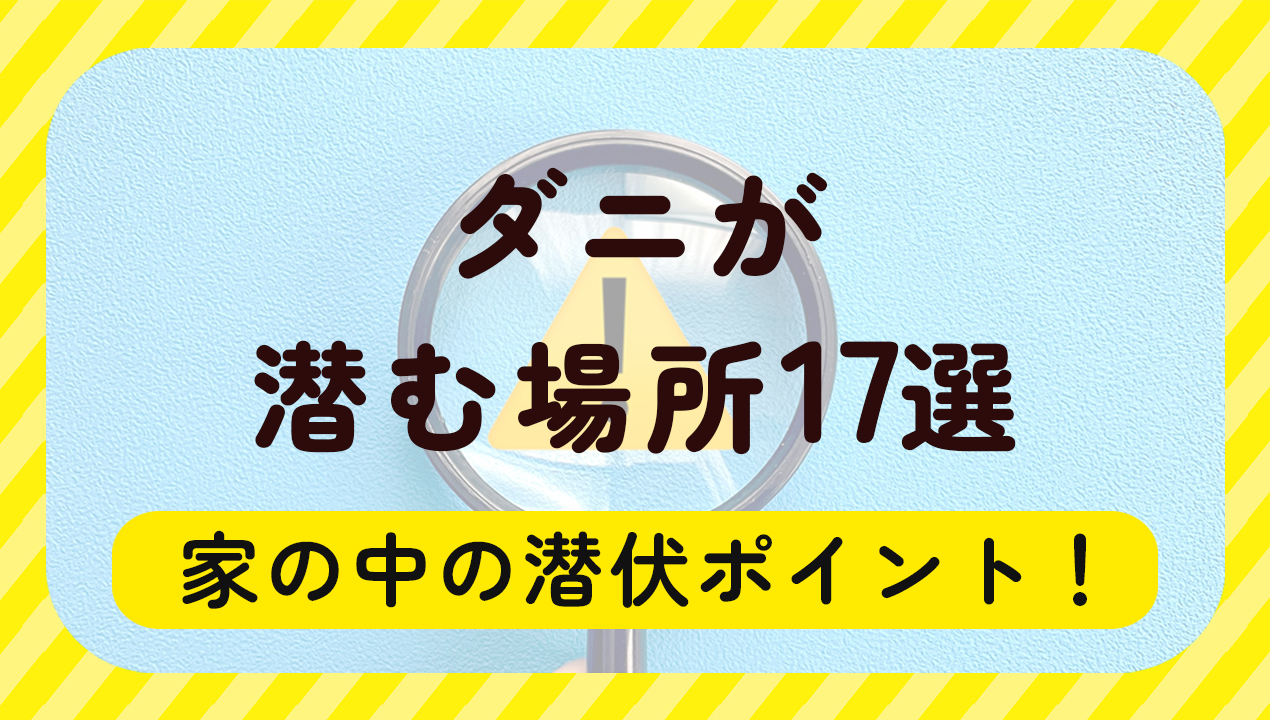 ダニが潜む場所17選