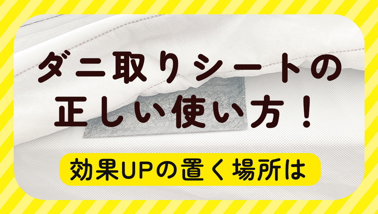 ダニ取りシートの正しい使い方！