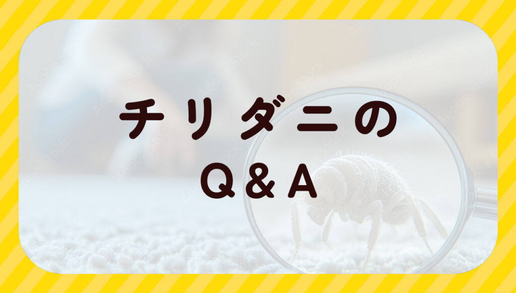 チリダニのQ&A