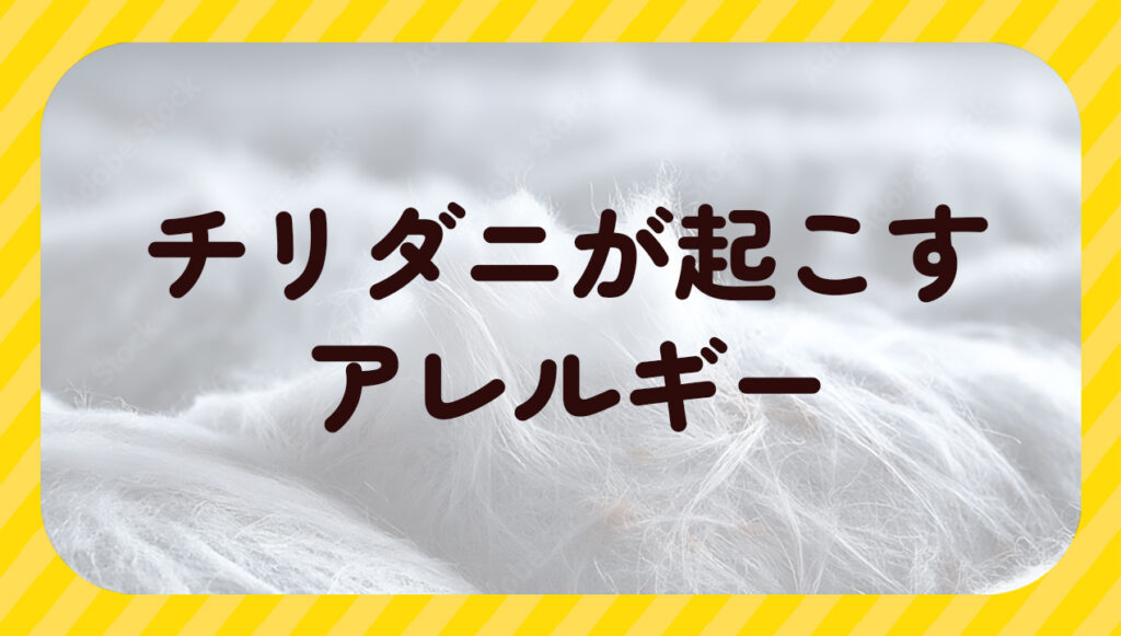 チリダニが起こすアレルギー