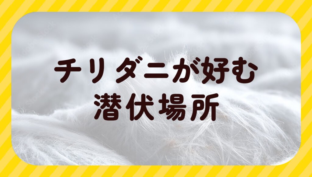 チリダニが好む潜伏場所