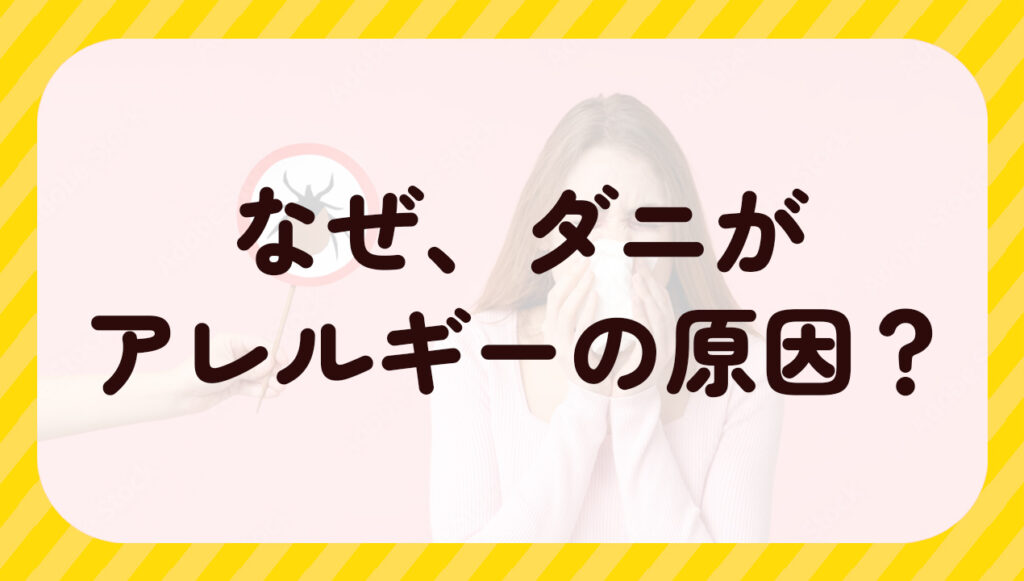 なぜ、ダニがアレルギーの原因？