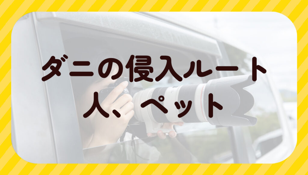 ダニの侵入ルート人、ペット