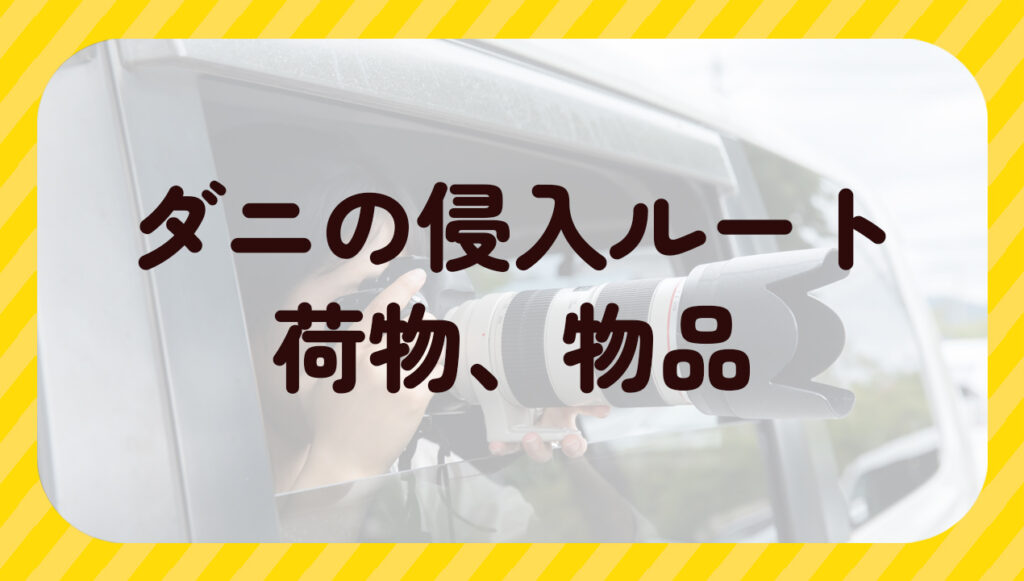 ダニの侵入ルート荷物、物品