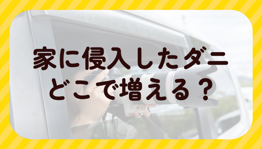 家に侵入したダニどこで増える?