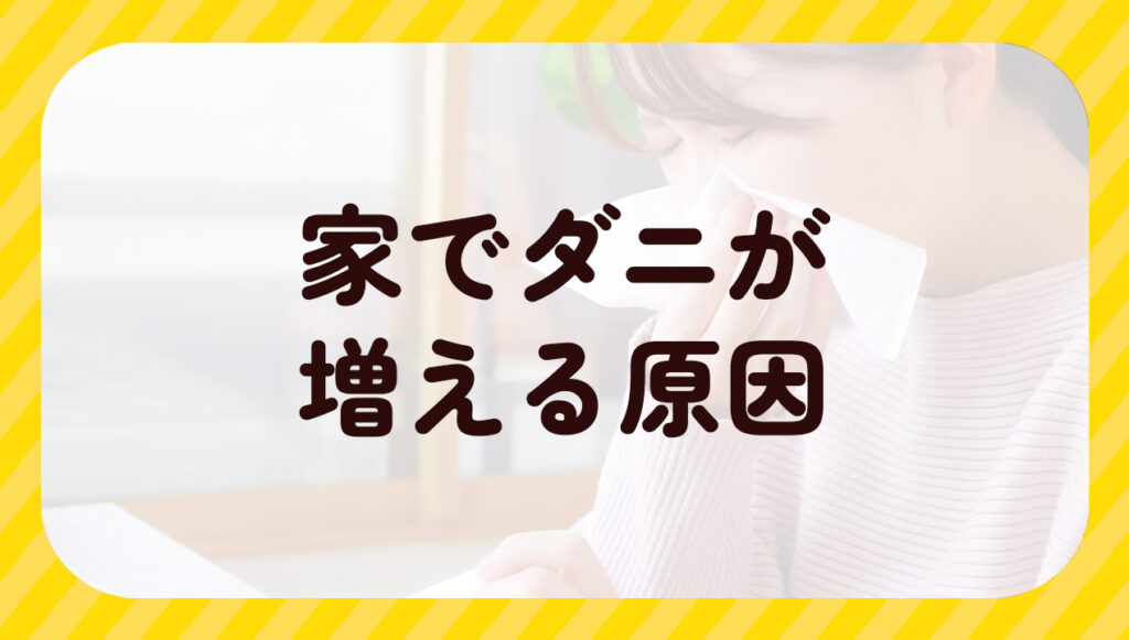 家でダニが増える原因