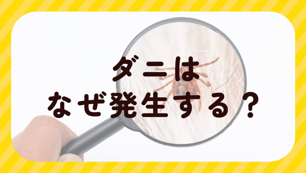 ダニはなぜ発生する?