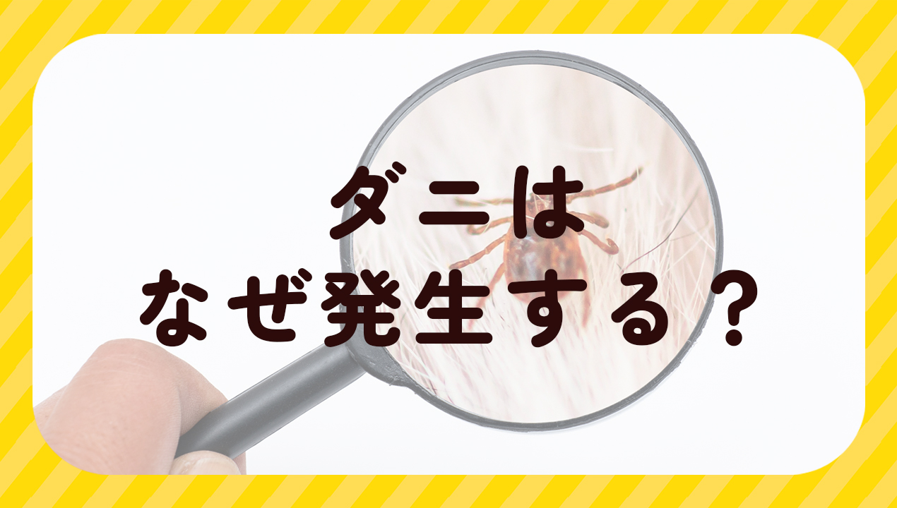 「ダニ 対策」の決定版ガイド-ダニに悩まされるすべてのご家庭へ | ダニタイムズ