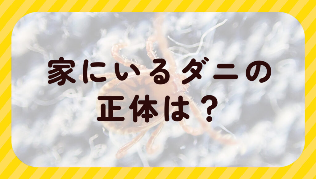 家にいるダニの正体は?