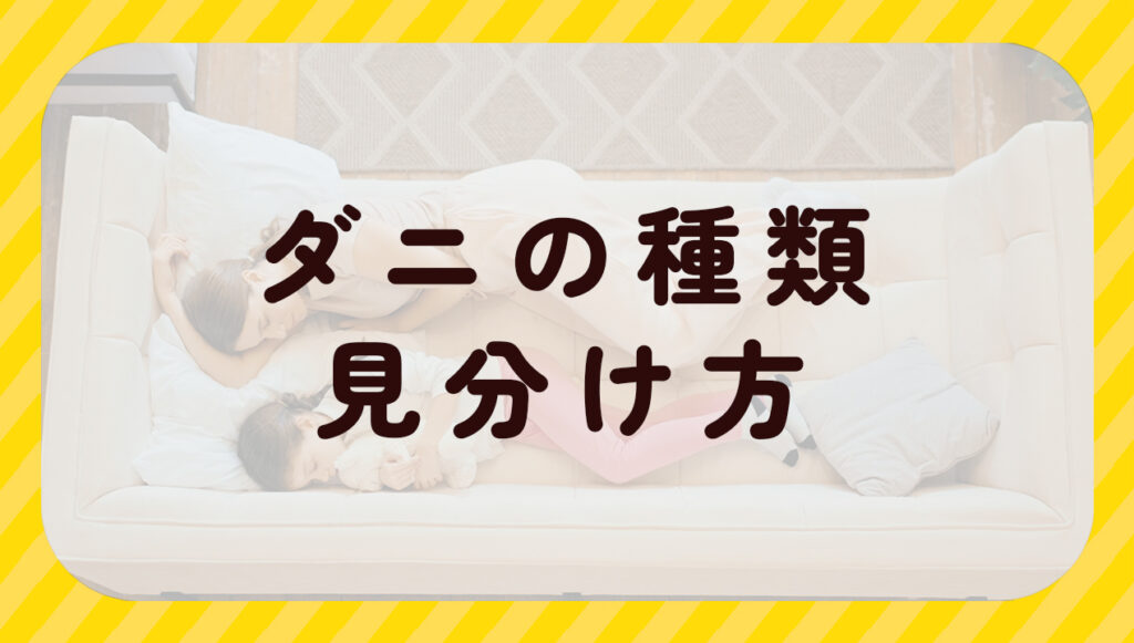 ダニの種類見分け方