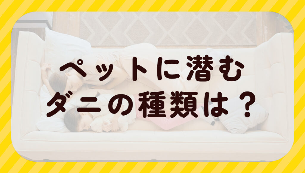 ペットに潜むダニの種類は?