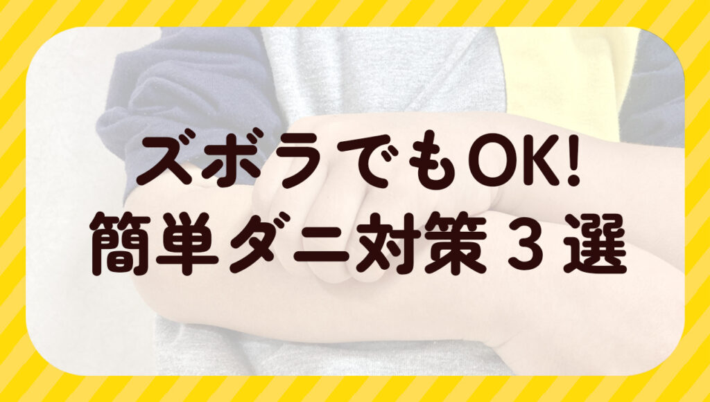 ズボラでもOK!簡単ダニ対策3選