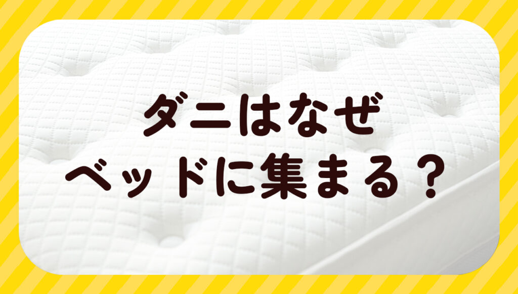 ダニはベッドに集まる?