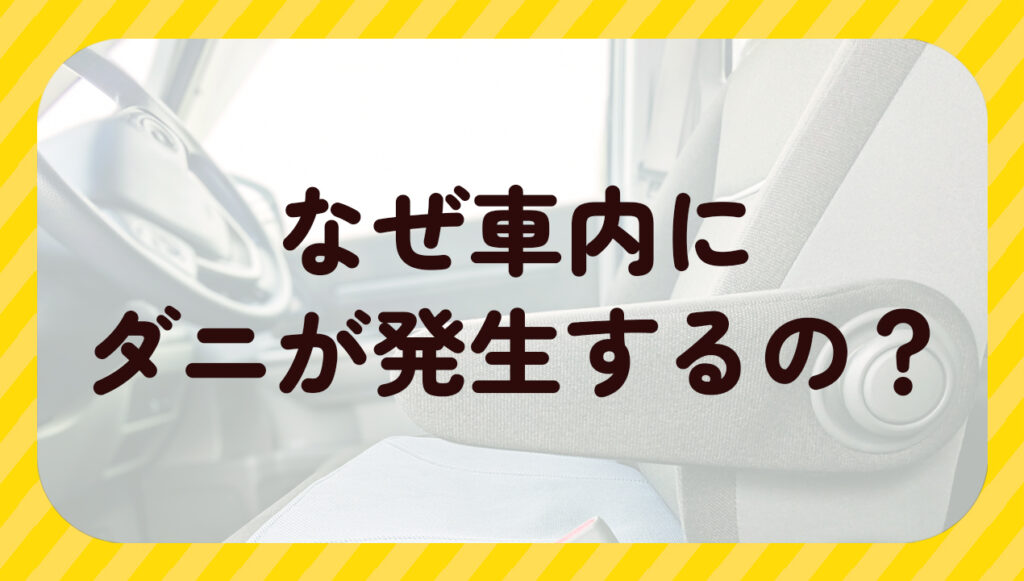なぜ車内にダニが発生するの?