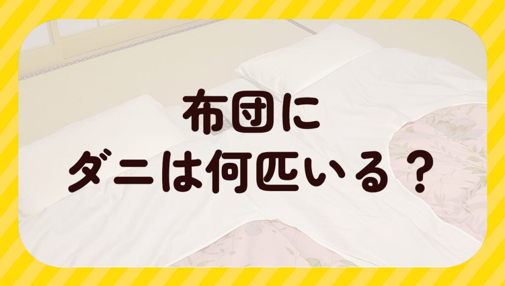 布団にダニは何匹いる?