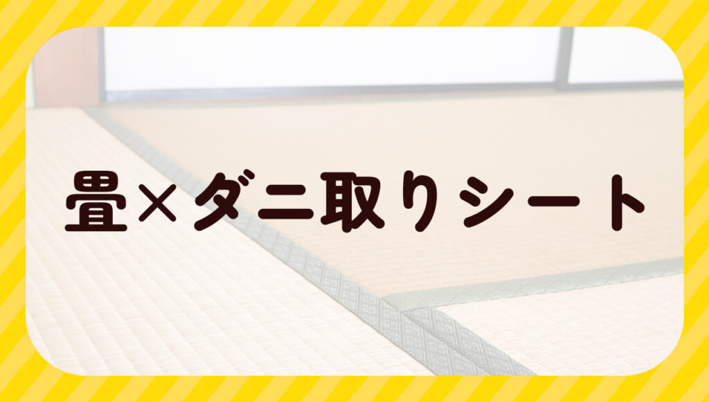 畳✕ダニ取りシート