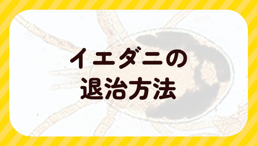イエダニを退治方法