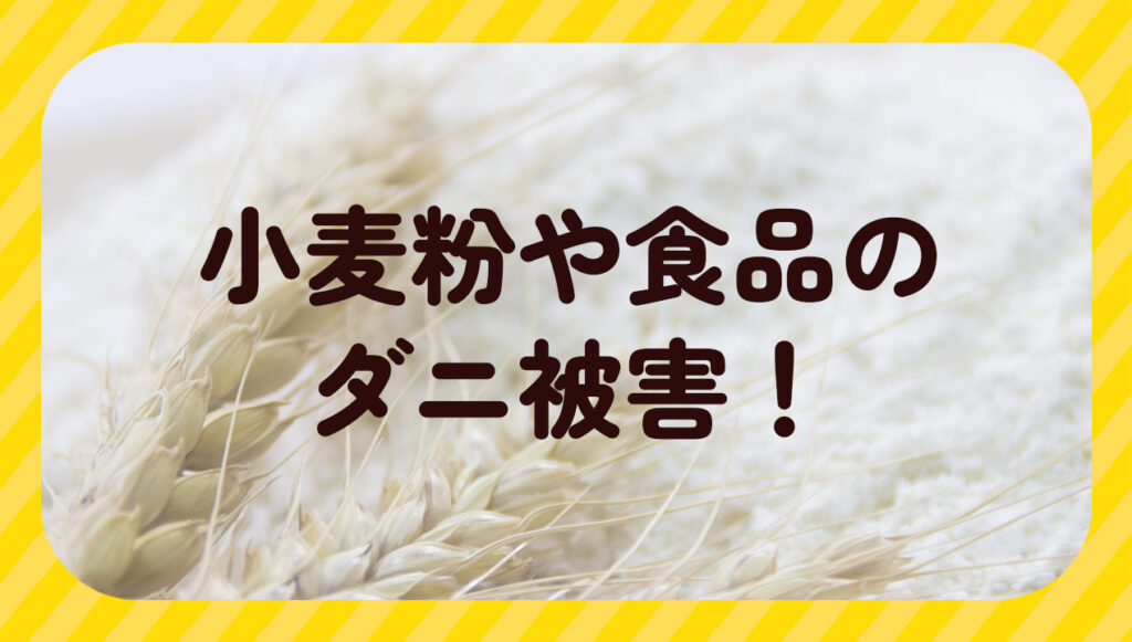 小麦粉や食品のダニ被害