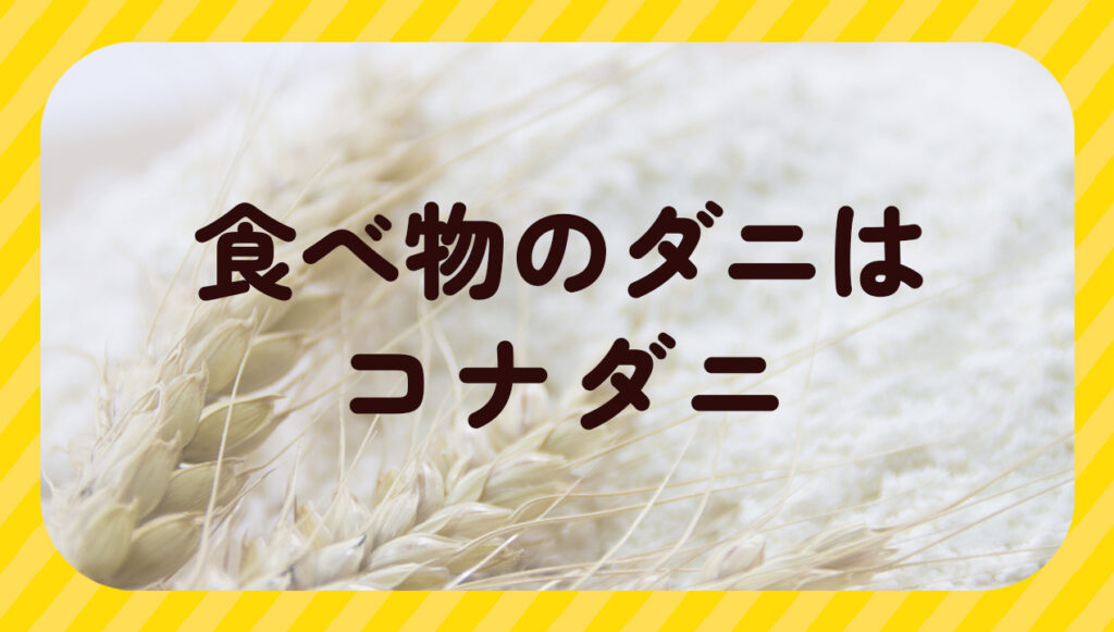 食べ物のダニはコナダニ
