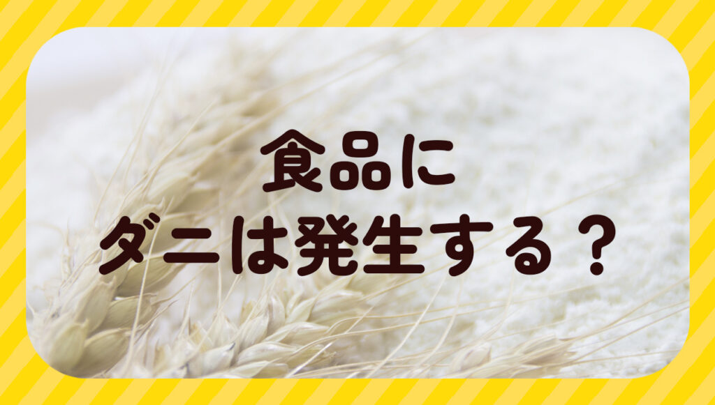 食品にダニは発生する?