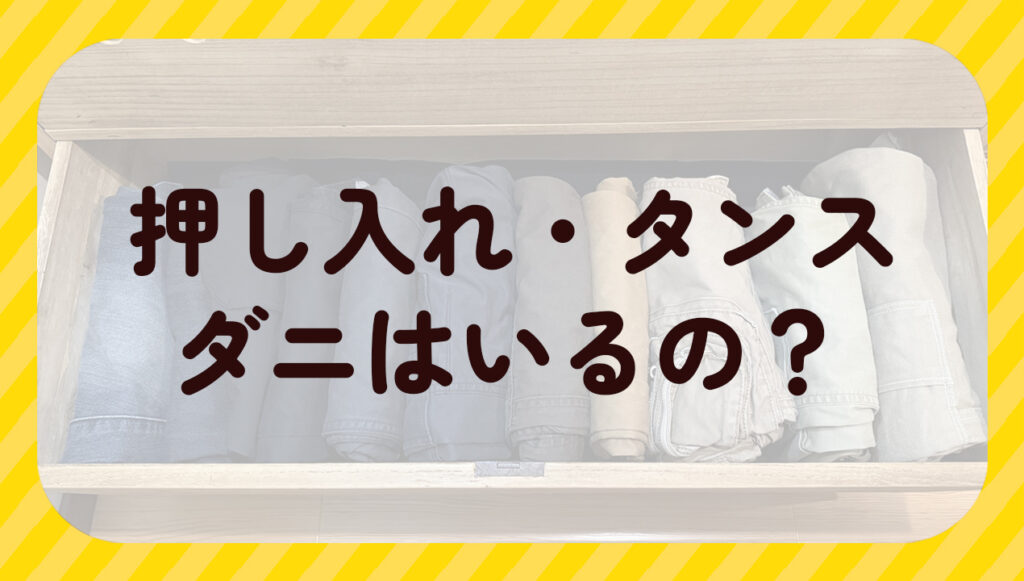 押し入れ・タンスにダニはいるの？