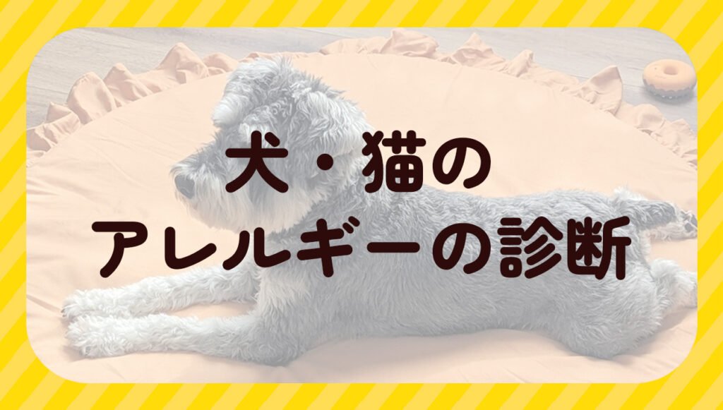 犬・猫のアレルギーの診断
