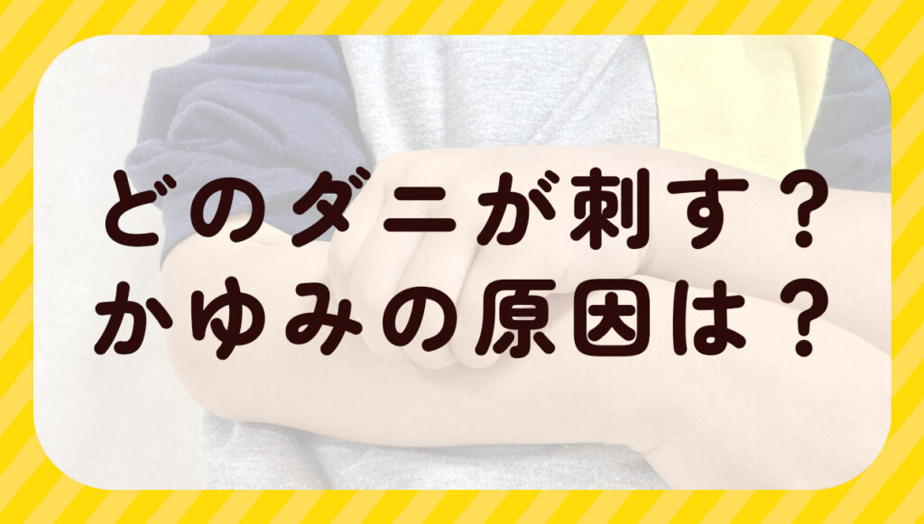 どのダニが刺す?かゆみの原因は?