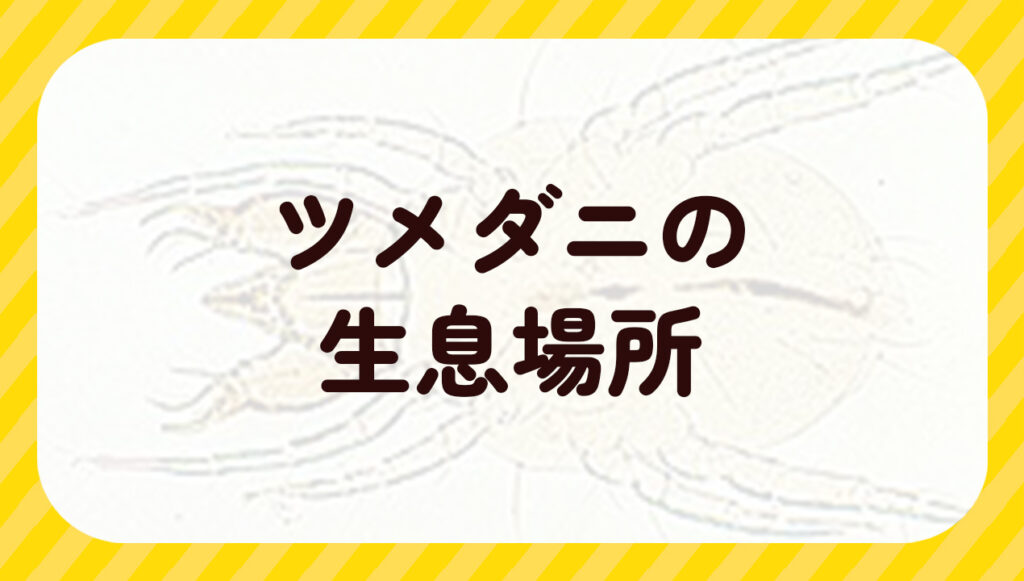 ツメダニの生息場所