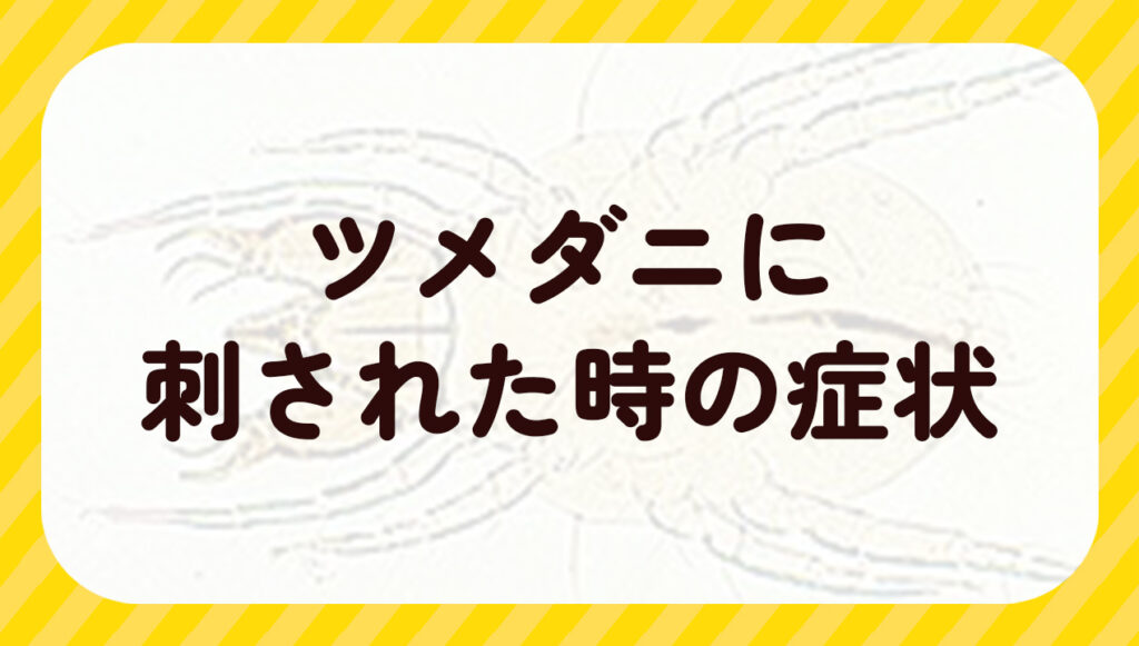ツメダニに刺された時の症状