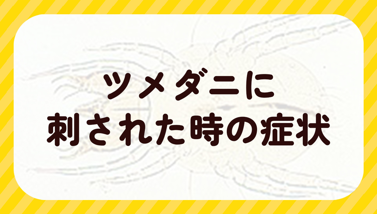 ツメダニに刺された!?かゆみ・症状から駆除の方法を紹介【畳・布団の対策も】 | ダニタイムズ