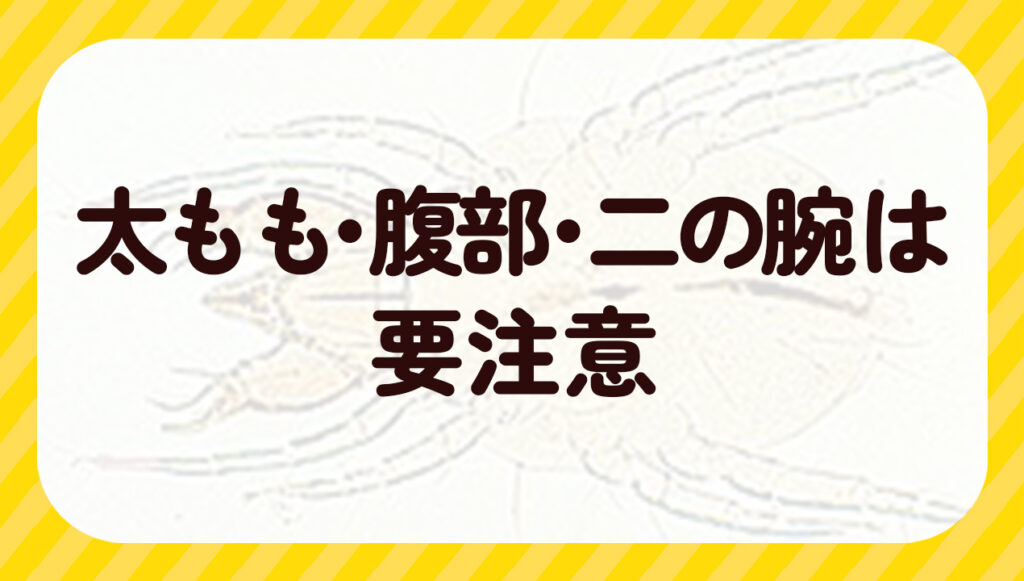 太もも・腹部・二の腕は要注意