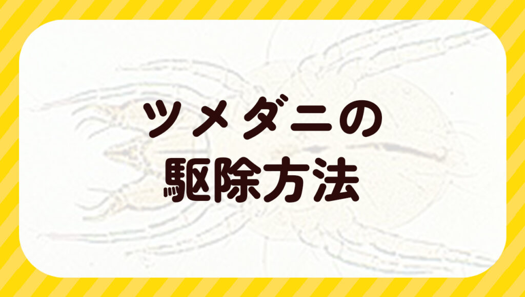 ツメダニの駆除方法