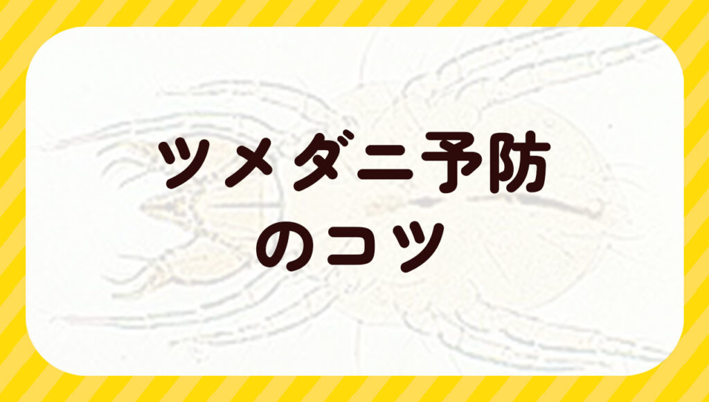 ツメダニ予防のコツ