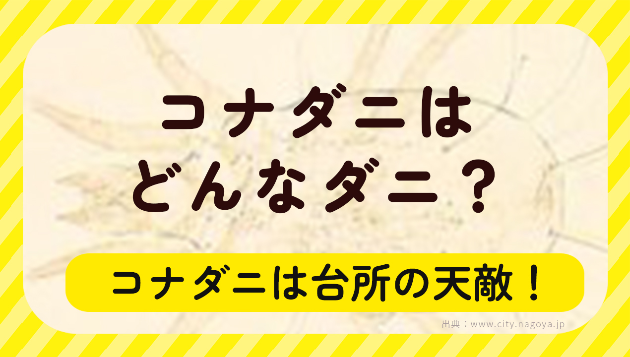 コナダニはどんなダニ・