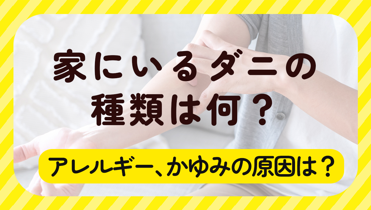 家にいるダニの種類は何？