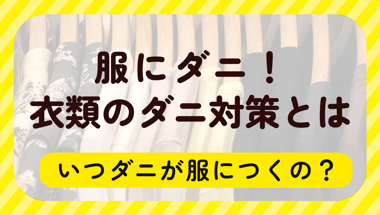 服にダニ！衣類のダニ対策とは
