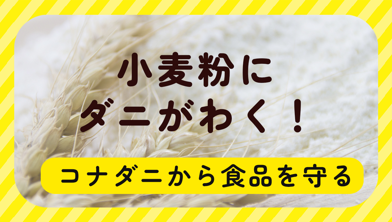 小麦粉にダニがわく！