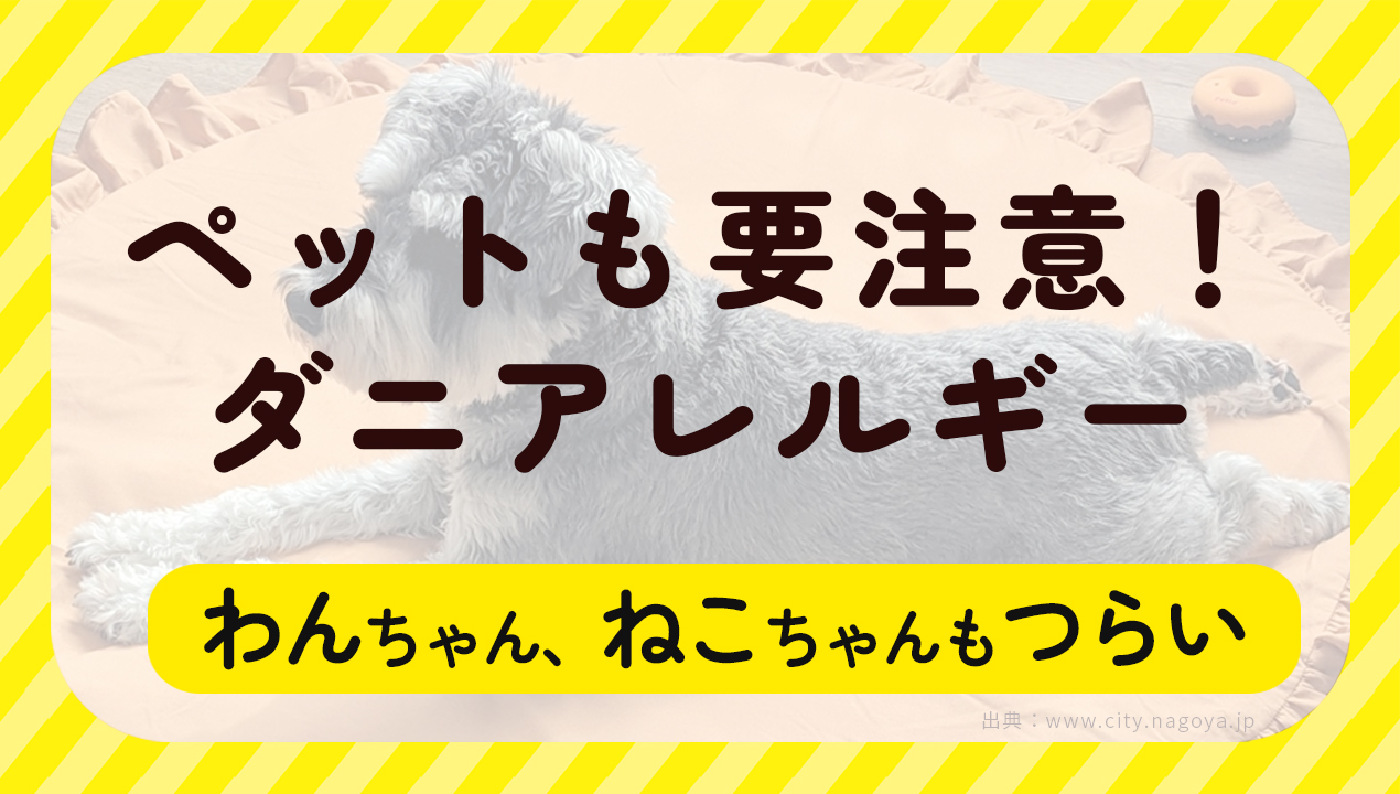 ペットも要注意！ダニアレルギー