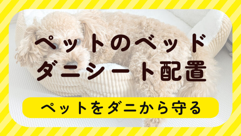 服にダニがいるかも!? 衣類のダニ対策・駆除法を徹底解説 | ダニタイムズ
